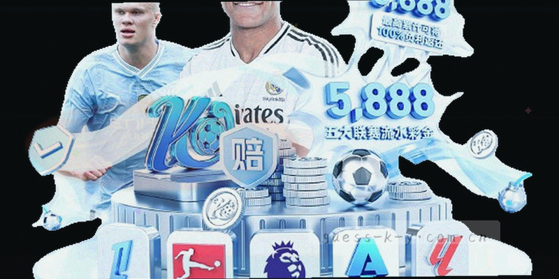 使用条款要点信息图，包含服务说明、用户责任、免责声明与版本更新四部分